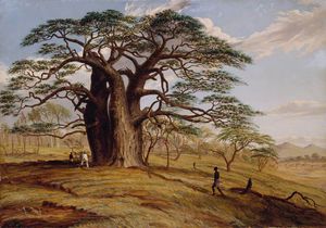 Ein Baobab In der Nähe der Bank des Lue