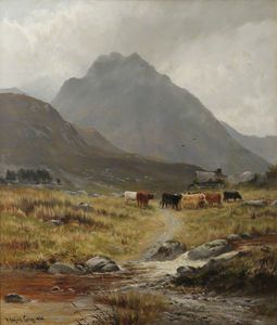 Trefan - Highland Cattle In A Glen