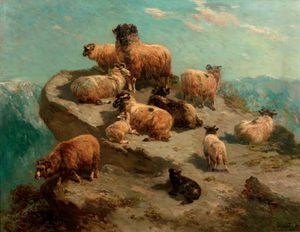 las ovejas de montaña en un Cliff's Orilla