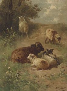 Schafe auf einer Sandpiste