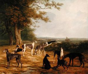 Nine Greyhounds In A Landscape