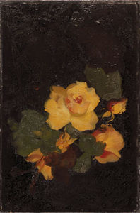 jaune roses
