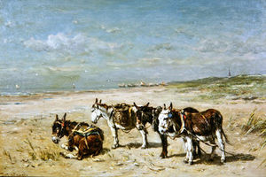 Donkeys On The Beach