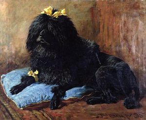 A Black Standard Poodle On A Blue Cushion
