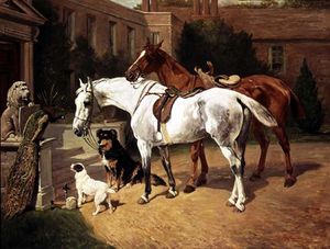 pferde und hunde