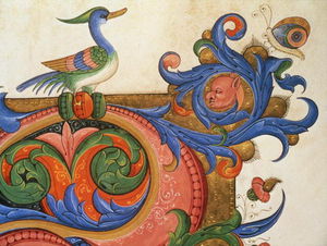 zoomorphic laub mit Duck-like Vogel und schmetterling , detail Dekoration Umgeben