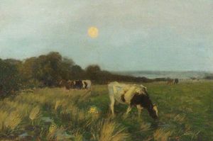 Cattle In Moonlight