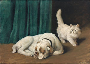 Resting Bulldog And White Persian