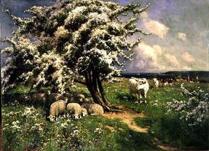 Pecore e bestiame  contro  Un  paesaggio