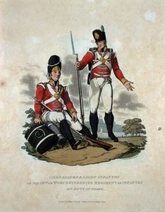 Grenadiers And Light Infantry Of The - (29th)