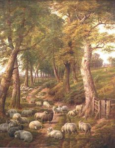 paisaje con ovejas
