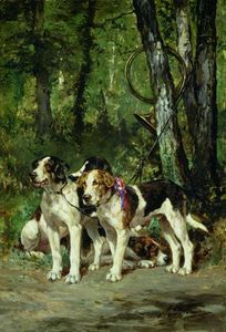 A Pack Of Hounds