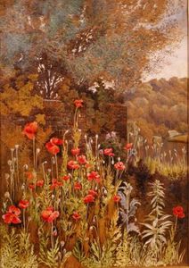 Poppies On A River Bank