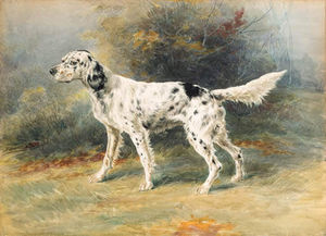 An English Setter In A Landscape