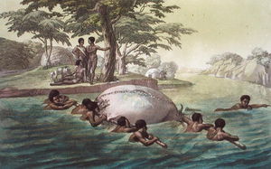 Gingri Tribesmen Überquerung des Flusses Zebee