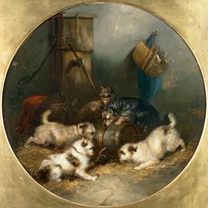 Terriers delatar en un granero