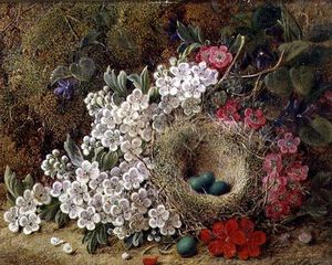 A Bird's 巣 そして、花