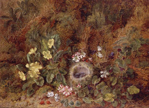 Still Life With Bird's Nest And Wild Flowers