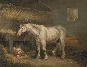 vieux chevaux  avec  une  chien  dans  une  étable