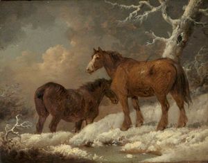 zwei pferde an den Schnee