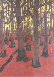 den Wald rot  Boden
