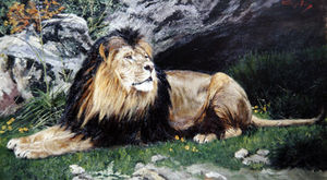Un Barbary O Atlas Lion