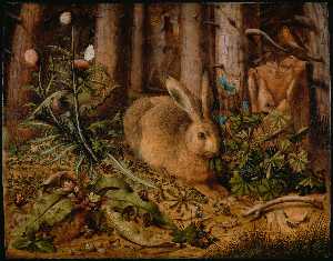 A Hare In The Forest