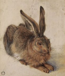Hare, A Derivative Of Dürer's Hare