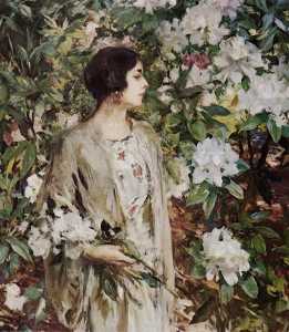 Among The Rhododendrons
