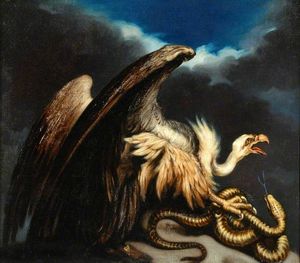 Vulture And Snake -