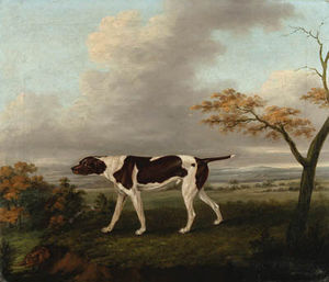 A Pointer With A Hare In An Extensive Landscape