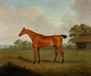 Chestnut Horse In A Landscape