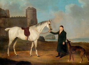 homme avec une cheval  et  une  Lévrier