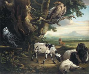 aves rapaces , Cabras y una Lobo , en un paisaje