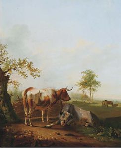 牛 在  一个  草甸