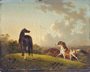 `frightened` caballos en un paisaje