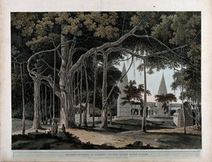 bantambaumbaum mit  hinduistisch  tempel