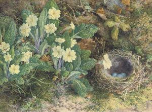 Primulas And A Bird's Nest On A Mossy Bank