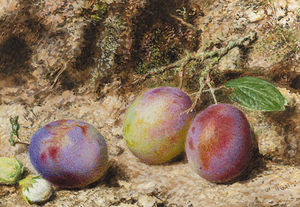 Still Life With Plums And Hazelnuts On A Mossy Bank