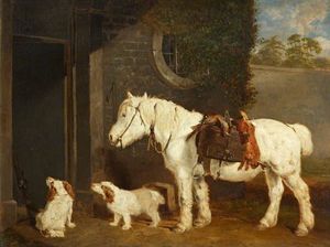 “磨砂”，一个射击小马30岁，和两个克伦伯猎犬