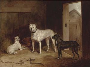 A Bulldog And Bullterriers In An Outhouse