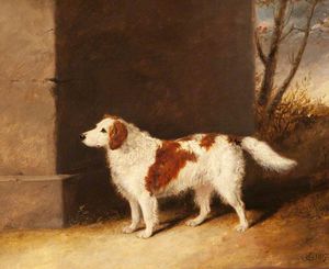 El perro del favorito de Lord Charles Vere Ferrers Townshend