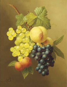 A Swag Of Peaches, Grapes And Apricots