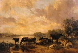 一条河 现场  牛  通过  托马斯  西德尼  库珀