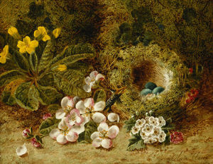 Apple Blossoms, A Primrose And Birds Nest