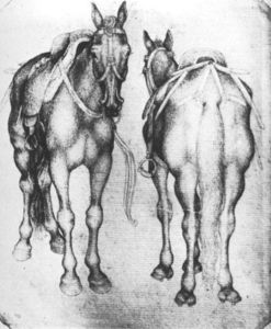 chevaux. stylo papier. 20 x 16.5 cm. louvre musée, paris