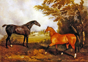 Equestrian Scene