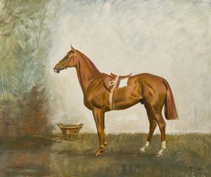 'High Stakes', il cavallo di Lord Astor