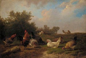 A Cockerell And Hens Feeding By A Tree-stump