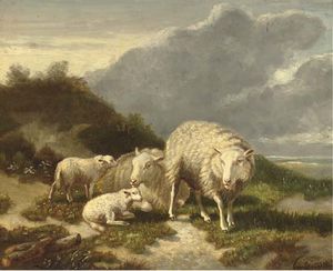Sheep In The Dunes